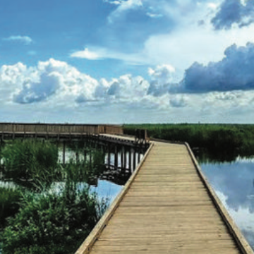 Screenshot 2026-03-09 at 2.00.57 PM