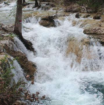 Screenshot 2026-03-09 at 2.01.29 PM