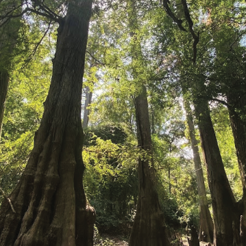 Screenshot 2026-03-09 at 2.01.53 PM